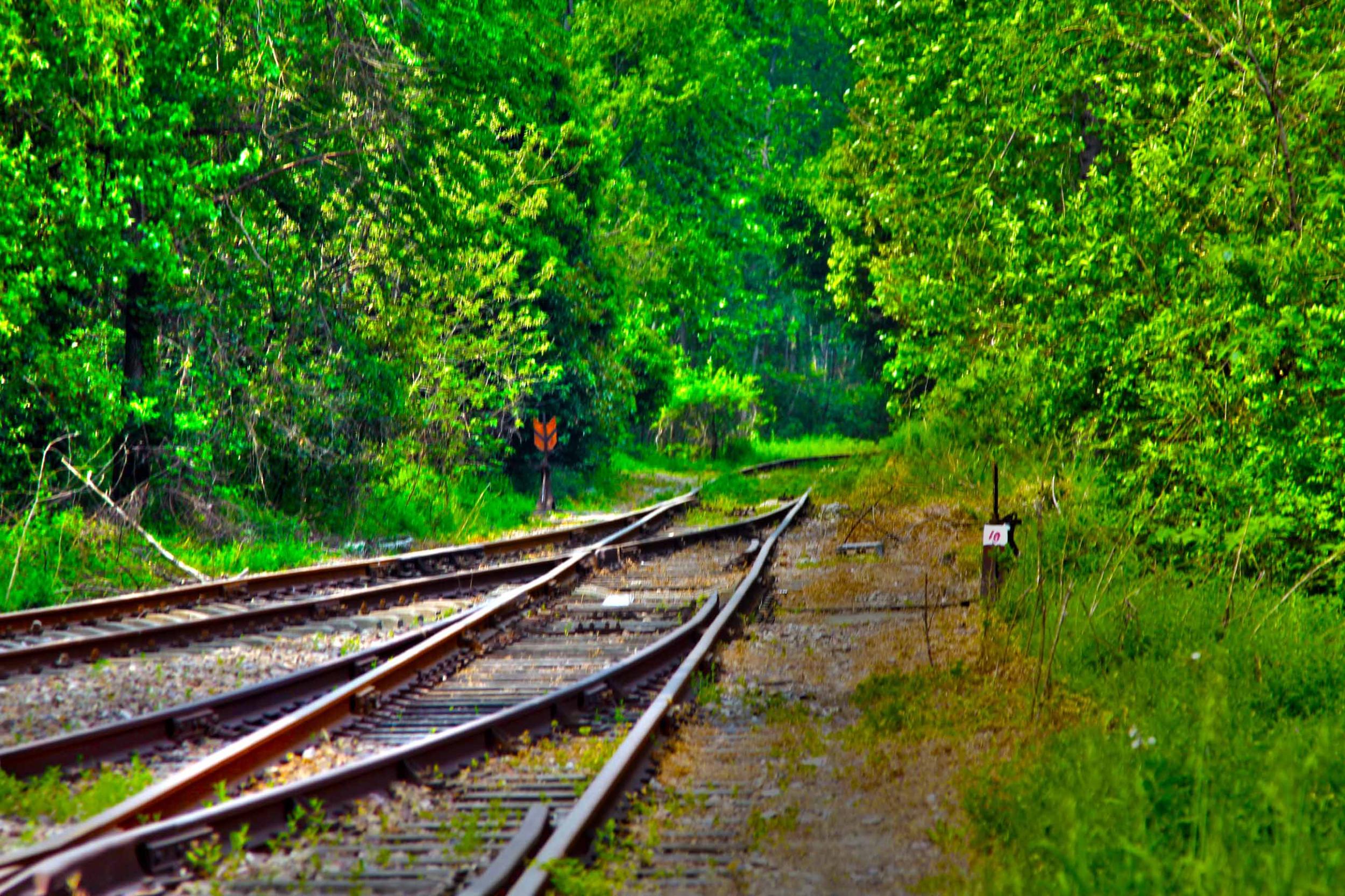 我省今年年內(nèi)有4條鐵路線投入運(yùn)營(yíng)更多出行選擇！