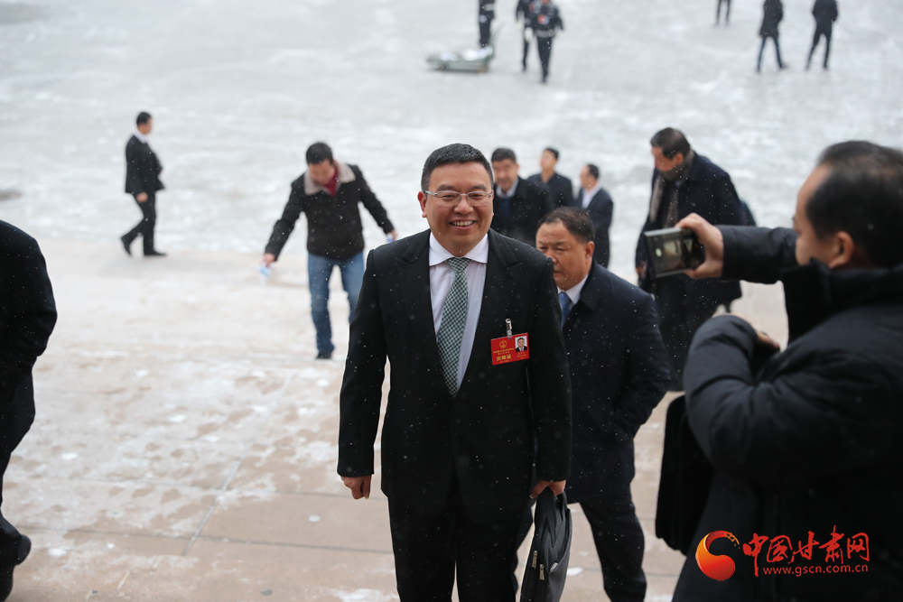 【聚焦2020甘肅兩會】“兩會”代表、委員風采掠影（組圖）