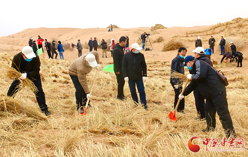 不“疫”樣的植樹節(jié)！甘肅省新聞戰(zhàn)線工作者攜手播綠“八步沙”（圖+視頻）