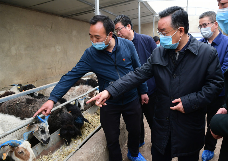 唐仁健在岷縣宕昌縣調(diào)研指導(dǎo)脫貧攻堅(jiān)工作時強(qiáng)調(diào) 把好收官標(biāo)準(zhǔn) 確保脫貧質(zhì)量 奮力奪取脫貧攻堅(jiān)全面勝利