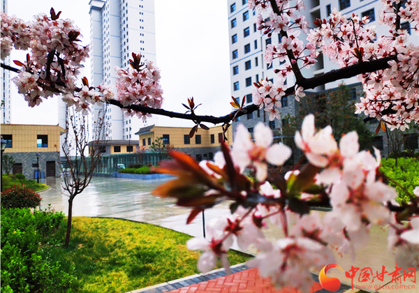 【甘肅省決戰(zhàn)決勝脫貧攻堅】天水麥積區(qū)：扶貧產(chǎn)業(yè)園讓貧困戶陪讀務工兩不誤（圖）