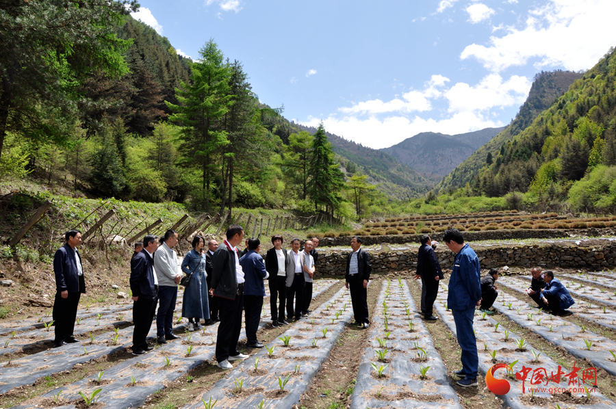 白龍江博峪河保護(hù)局開(kāi)展產(chǎn)業(yè)發(fā)展、義務(wù)勞動(dòng)成果現(xiàn)場(chǎng)觀摩交流活動(dòng)