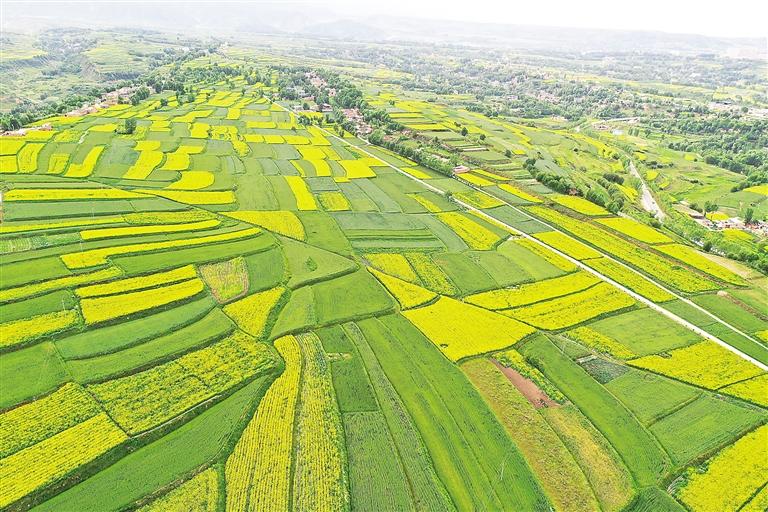 奮楫揚帆風正勁 爭先進位正當時——臨夏州上半年經(jīng)濟社會發(fā)展和重點工作綜述
