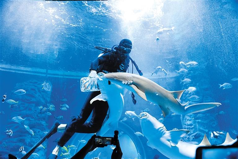 蘭州海洋公園 金昌火星1號(hào)基地 這個(gè)暑假我們“上天入?！?>
        </a><em>蘭州海洋公園 金昌火星1號(hào)基地 這個(gè)暑假我們“上天入?！?/em></li>
    <li><a  target=