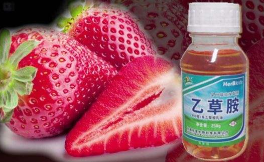 半小時(shí)測出千種農(nóng)藥殘留技術(shù)落地蘭州