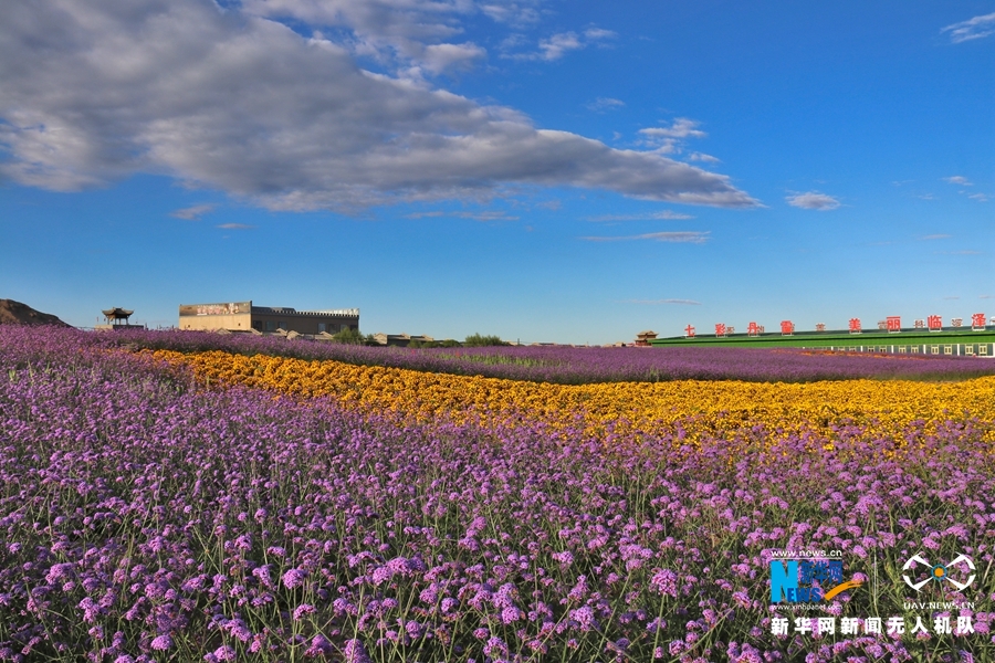 【“飛閱”中國(guó)】鳳凰花?！罢钩帷钡は伎?>
        </a><em>【“飛閱”中國(guó)】鳳凰花海“展翅”丹霞口</em></li>
    <li><a  target=