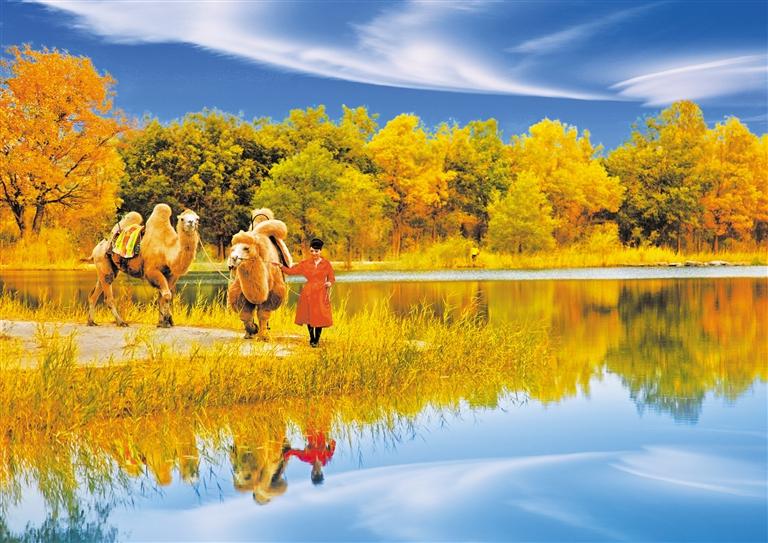 國慶長假，去金塔遇見最美胡楊