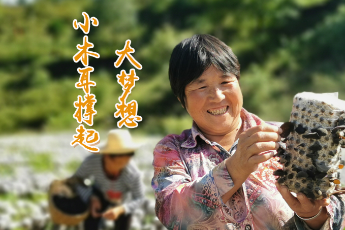 海報(bào)丨他們，乘“豐”破浪！