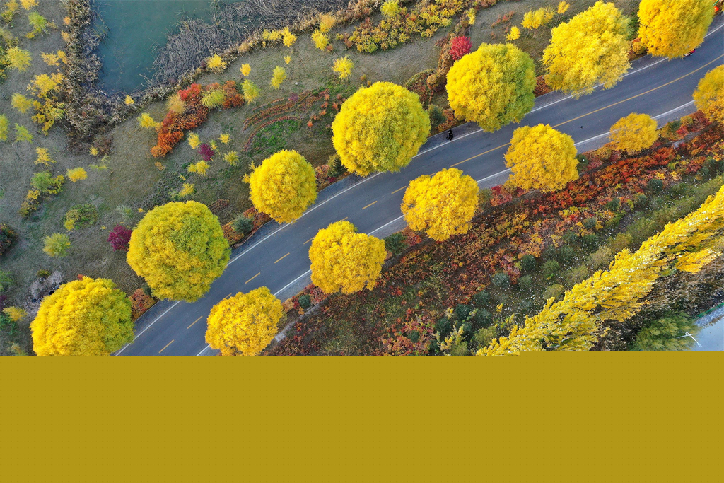 【飛閱甘肅】張掖濕地公園：深秋美景若油畫