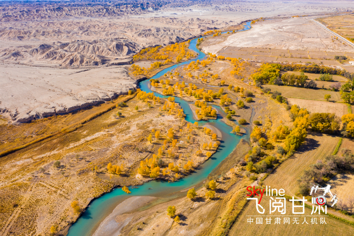 【飛閱甘肅】好美！疏勒河畔大地斑斕