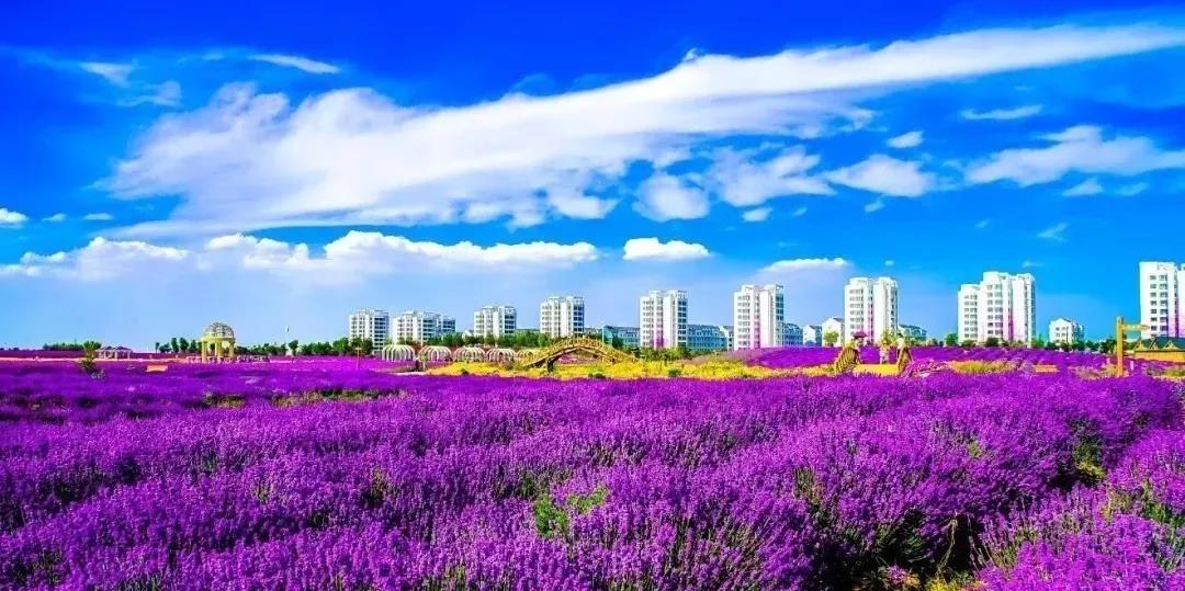 喜訊！金昌蟬聯(lián)全國文明城市