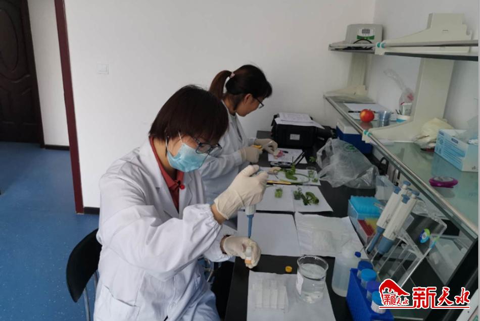 天水市市場(chǎng)監(jiān)管局開展“消費(fèi)扶貧”食品專項(xiàng)監(jiān)督抽檢