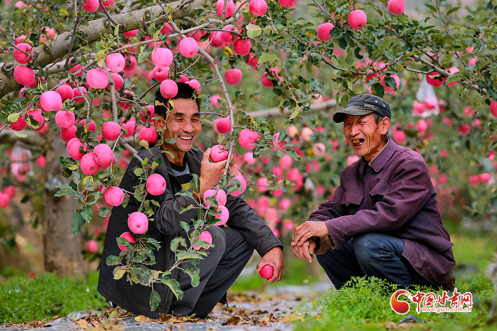 【中國的脫貧智慧】平涼：產業(yè)扶貧提升“造血”功能 “繡花”功夫助力鄉(xiāng)村振興（圖）