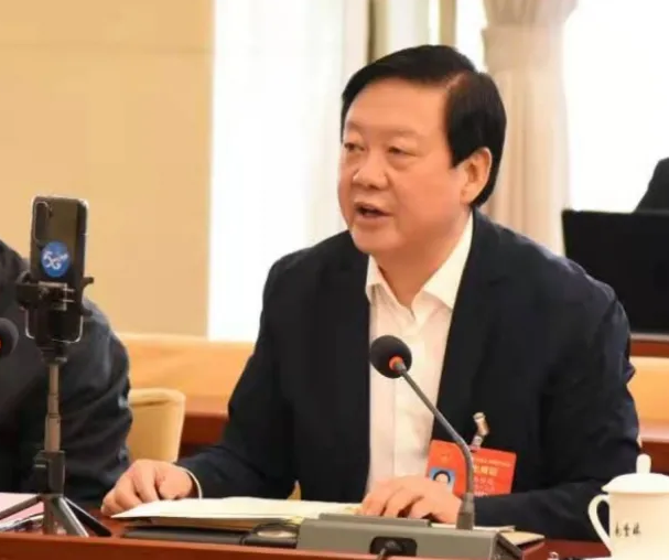 【聚焦2021全國兩會】全國人大代表、市委書記楊維俊接受中國日報記者采訪