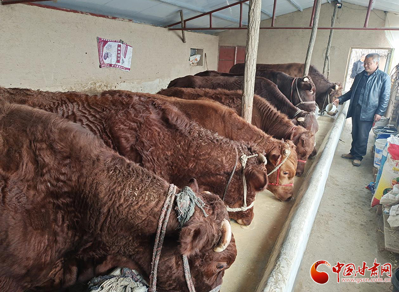 平?jīng)鰶艽ǎ骸芭！碑a(chǎn)業(yè)鋪就致富路