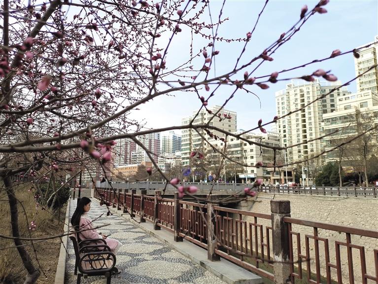 蘭州“第一朵花”開(kāi)了！