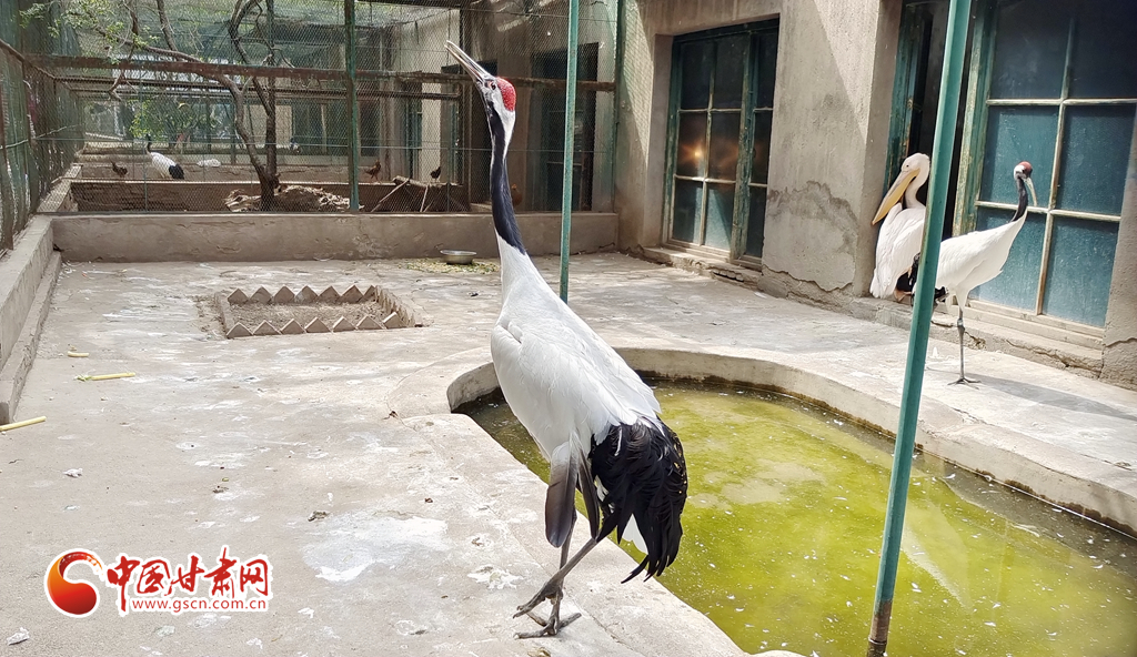 蘭州公安提醒市民：非緊急非必要，不出境