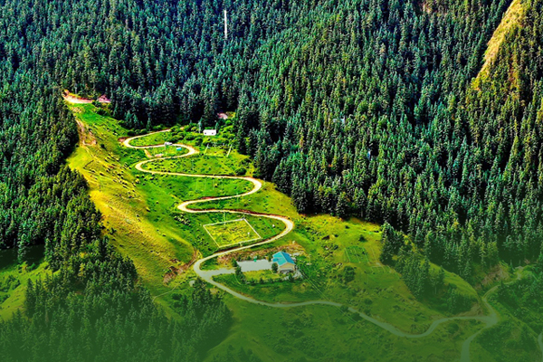 海報(bào)|祁連山保護(hù)區(qū)生態(tài)環(huán)境問題整改全面完成！