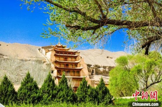 4月的敦煌莫高窟景區(qū)春意盎然。(資料圖) 王斌銀 攝