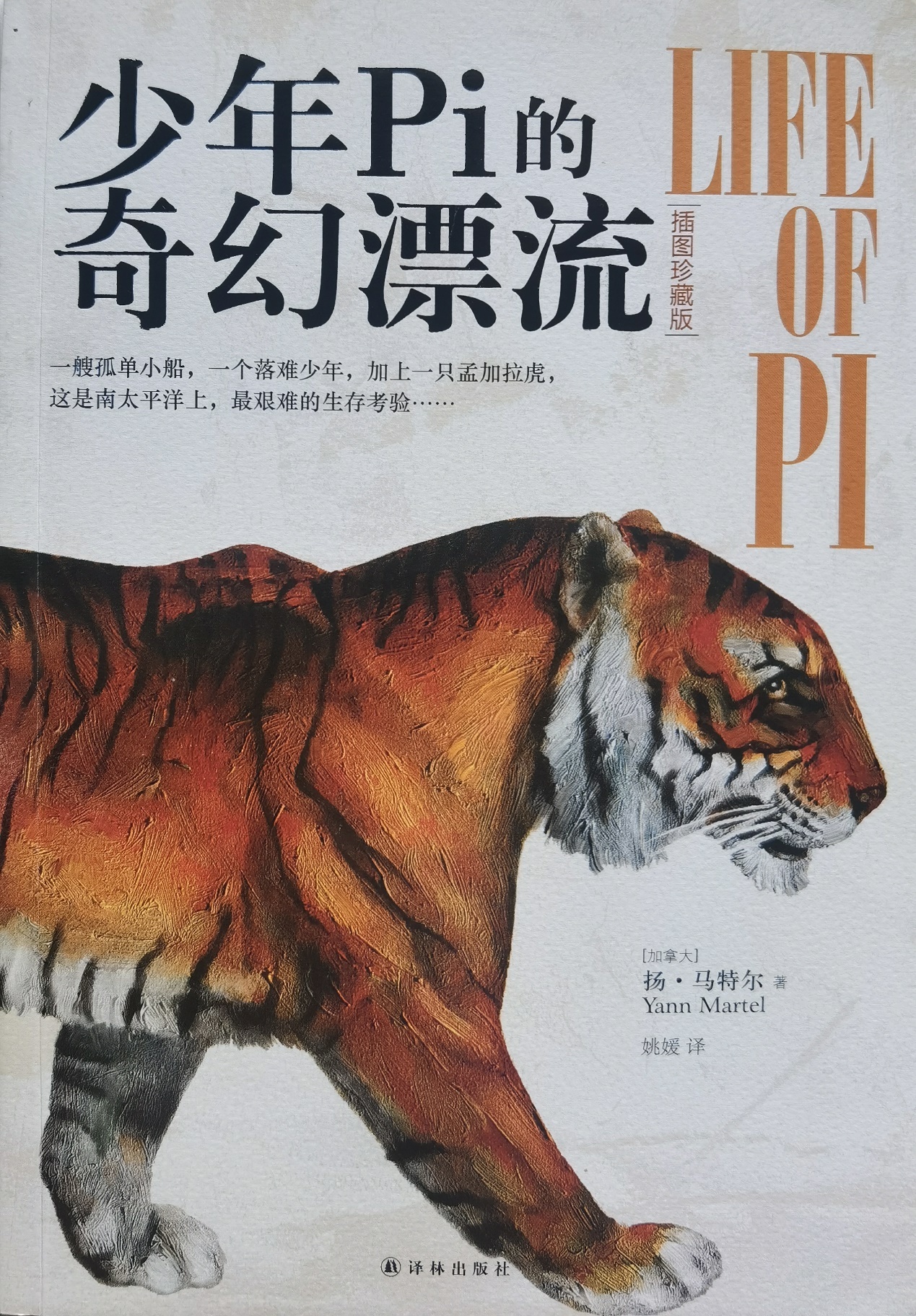 插圖1：揚(yáng)？馬特爾的小說(shuō)《少年pi的奇幻漂流》封面