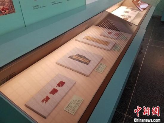 圖為展覽現(xiàn)場?！《鼗脱芯吭汗﹫D