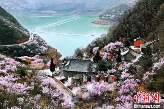 甘肅平?jīng)鍪惺侵袊鴥?yōu)秀旅游城市。圖為平?jīng)鲠轻忌较率锾一ㄊ㈤_。(資料圖) 平?jīng)鍪形麄鞑抗﹫D