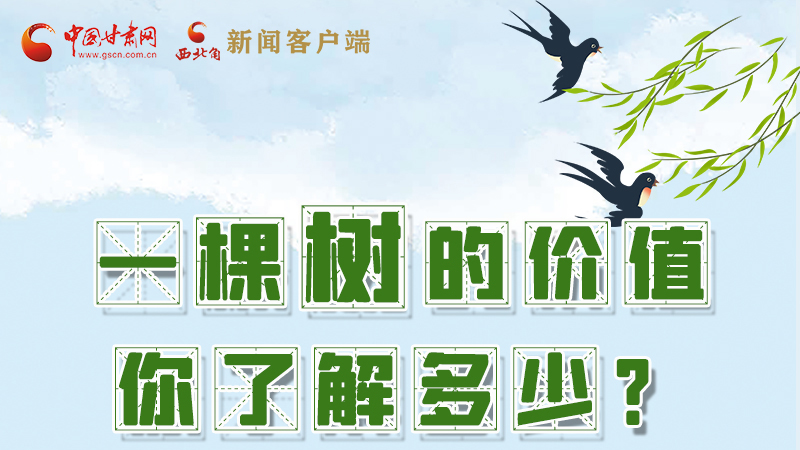 圖解|一棵樹的價(jià)值你了解多少?來看！