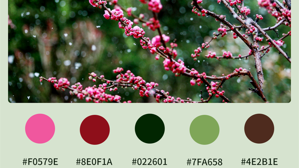 微海報(bào)|收藏！色卡里的春日甘肅