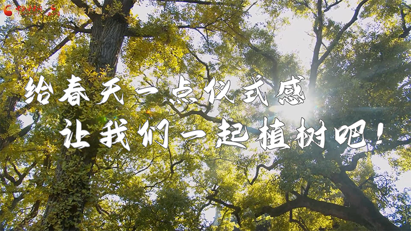 短視頻|給春天一點(diǎn)儀式感，讓我們一起植樹吧！