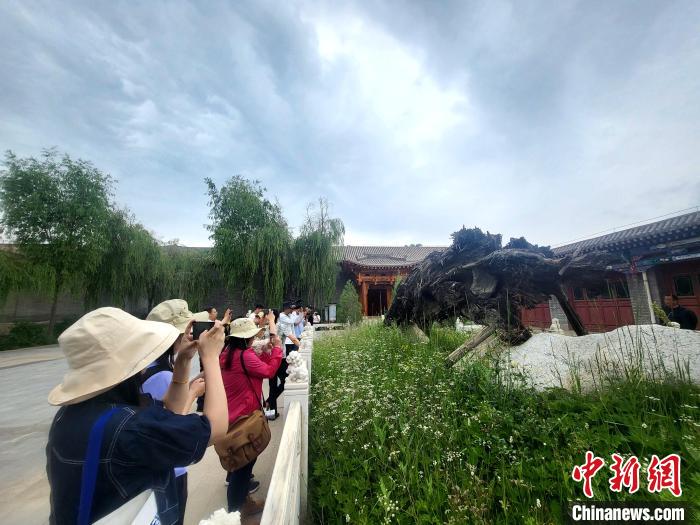 圖為媒體記者在青海永錄民俗參觀采訪?！⊙Φ?攝