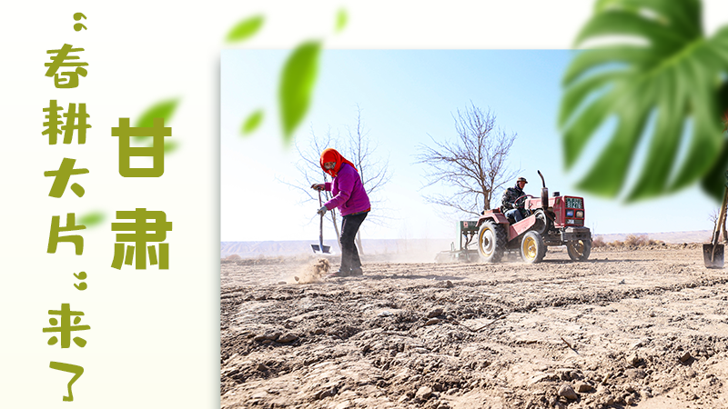 【甘快看】海報|瞧！甘肅“春耕大片”來了