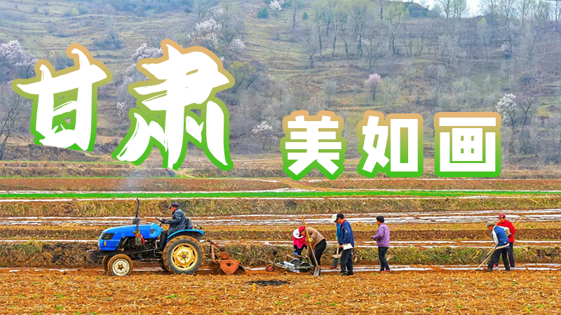 微海報|甘肅，美如畫