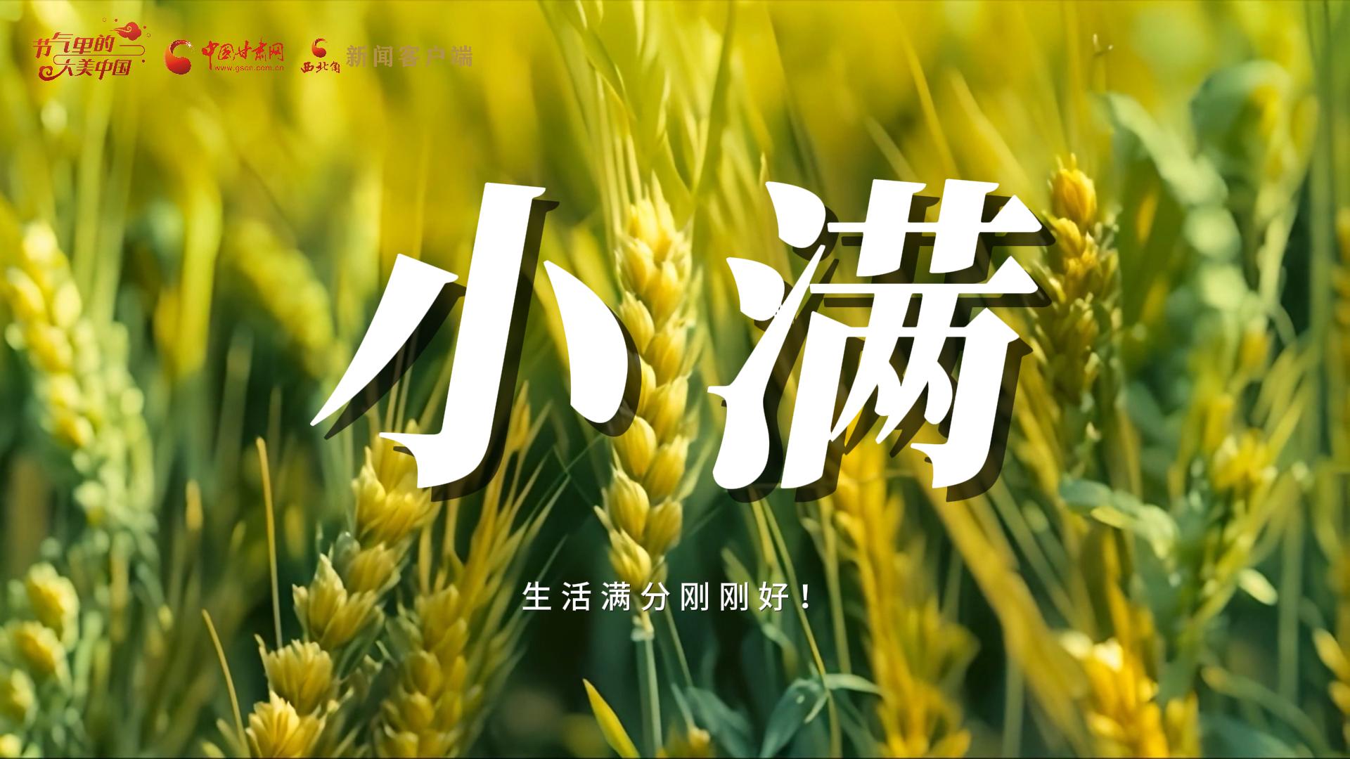 【節(jié)氣里的大美甘肅·小滿】生活滿分剛剛好！