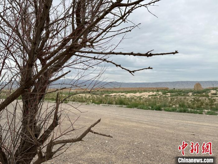 圖為位于長城墻體上的“馬面”或“敵臺”?！〈魑牟?攝