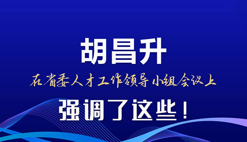 圖解|胡昌升在省委人才工作領導小組會議上強調了這些！