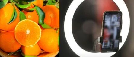 聲稱“橙子提高免疫力”、“悲情助農(nóng)”等類案頻發(fā)，敲響各單位直播帶貨警鐘