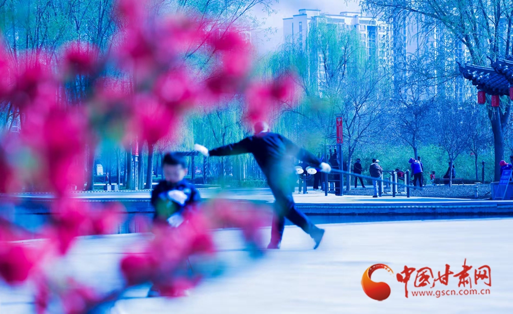 春動隴原丨永靖：一半花鳥詩意 一半人間煙火